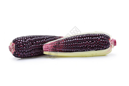 白色背景的紫玉米高清图片