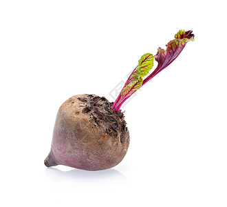 紫色甜菜白色背景上孤立的甜菜根背景