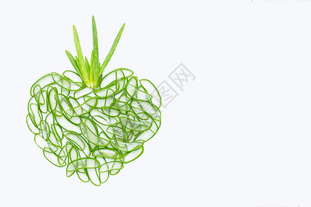 Aloevra是一种健康美的流行药用植物白色背景带有复制空间图片