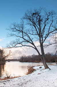 在寒冷的冬中与雪平息寒冷的公园湖自然足迹寒冷的冬中北海道日本图片