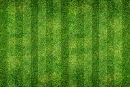 绿草线背景图片