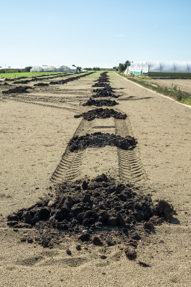 分散在堆积地上的农业用自然肥料土壤沃概念农田和粪肥生物态土壤概念自然肥料的高度生长概念图片