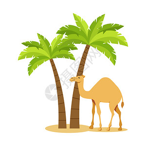 棕榈下骆驼矢量插画图片