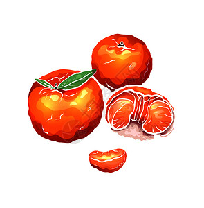 手绘柑橘插图元素背景图片