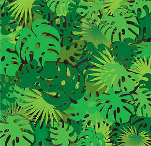 热带树叶矢量背景图片