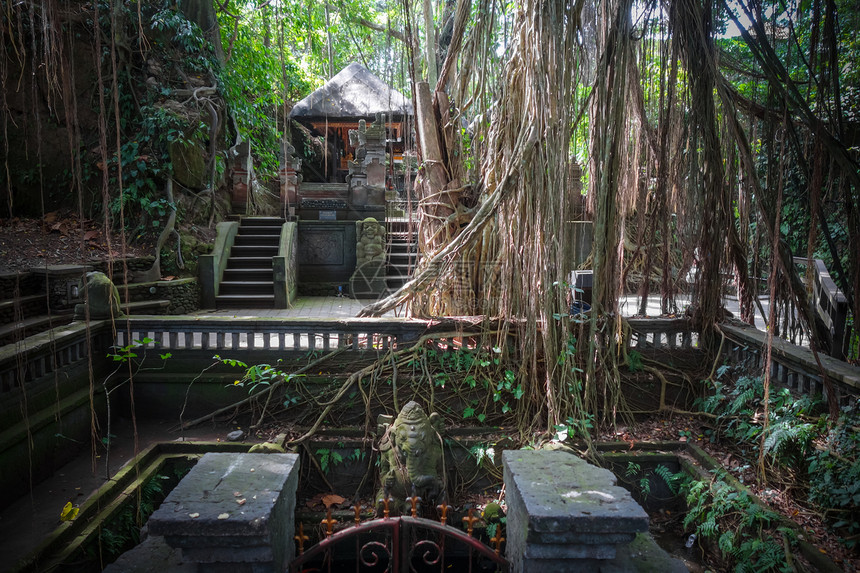 在神圣的猴子森林神庙乌布德巴利印地安尼西亚在猴子森林的神庙印地安尼西亚图片