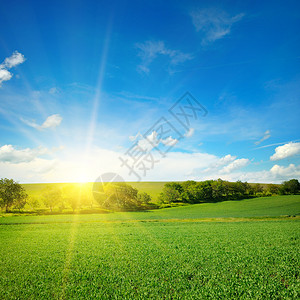 绿地蓝天空云彩明亮的日出在地平线上国家高清图片素材