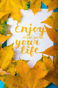 下秋底叶刻着字的子享受你一生的每天背景图片