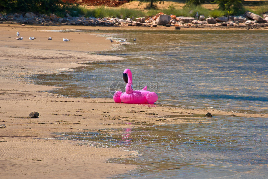在沙滩上丢弃的粉红法拉明哥游泳环在croati的地中海度假图片