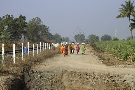 妇女在村路上行走图片