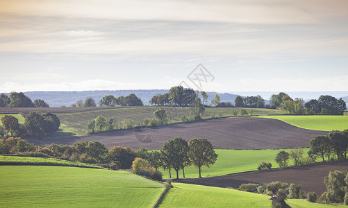 南海伦和瓦尔肯堡之间山南杜特奇省的草地和背景图片