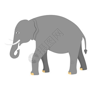 拉贾斯坦卡通可爱的大象设计图片