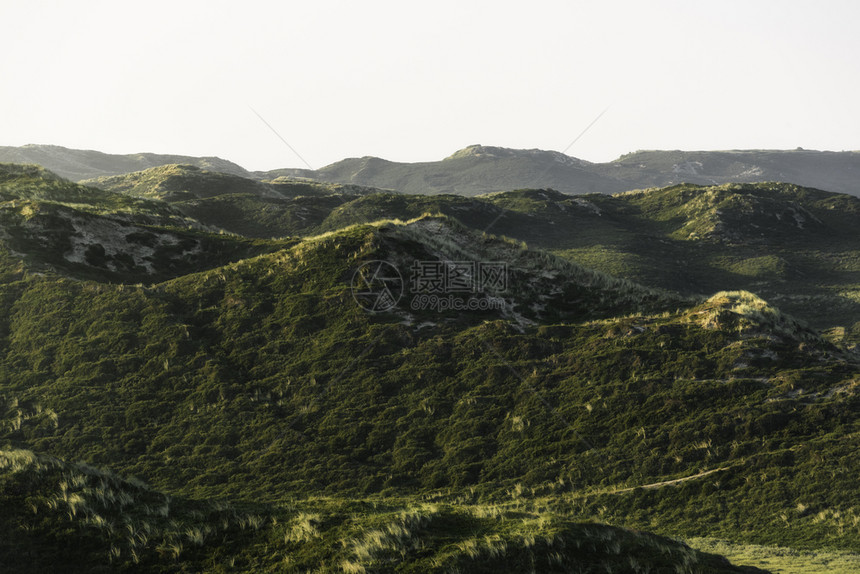 丘陵地貌沙绿苔和马拉姆草清晨在锡尔特岛北海德国自然保护区图片