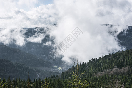 春山风景黑森林和角状山云层覆盖德国森林在山峰和云层上图片