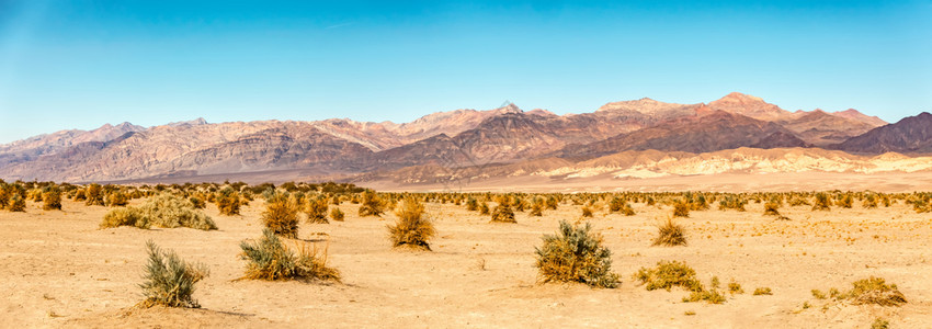 加州沙漠的山谷图片