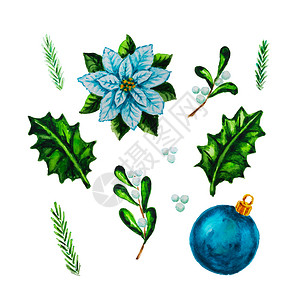 蓝色海报装饰白水颜色棕褐底的植物寄生虫霍利贝白莓蓝圣诞节装饰品背景