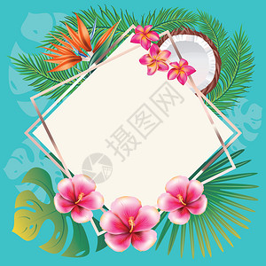 热带叶子和花朵设计背景图片