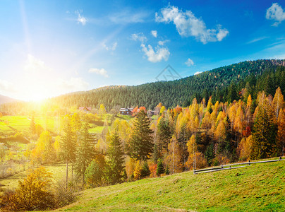 美丽的山地风景与多彩的秋天森林和充满活力的日落概念是旅行图片