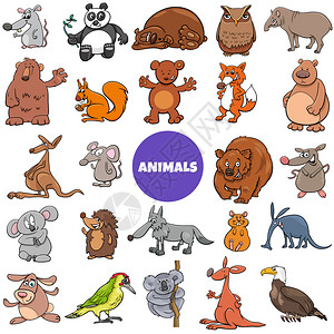 卡通可爱的动物图片