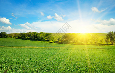 绿地蓝天空云彩明亮的日出在地平线上季节高清图片素材