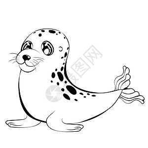 卡通川井海豹黑白两面设计大眼海豹图片