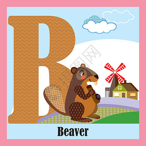 大写字母B开头的动物松鼠设计高清图片素材