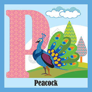 大写字母P开头的动物孔雀幽默高清图片素材