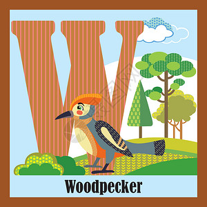 卡通矢量动物啄木鸟英文字母W现代的高清图片素材