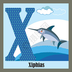 大写字母X开头的动物剑旗鱼现代的高清图片素材