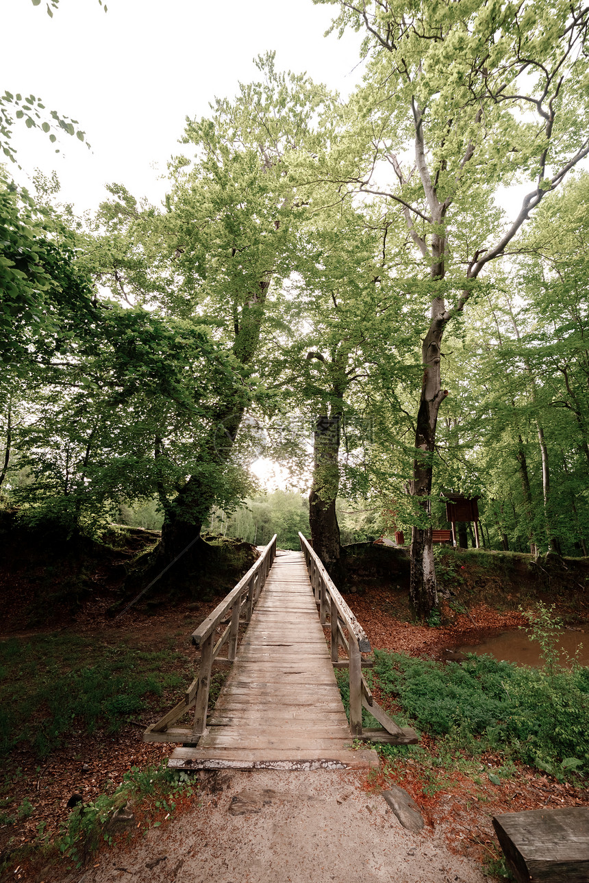喀尔巴阡山脉绿林中生锈的木桥图片