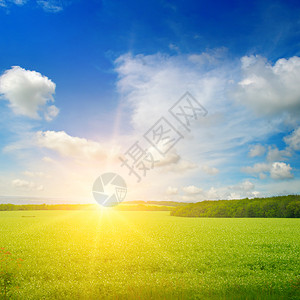 绿地蓝天空云彩明亮的日出在地平线上绿色高清图片素材