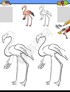 火烈鸟动物儿童绘画教育插图图片