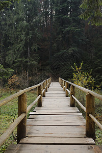 木桥横跨湖面的协同图片