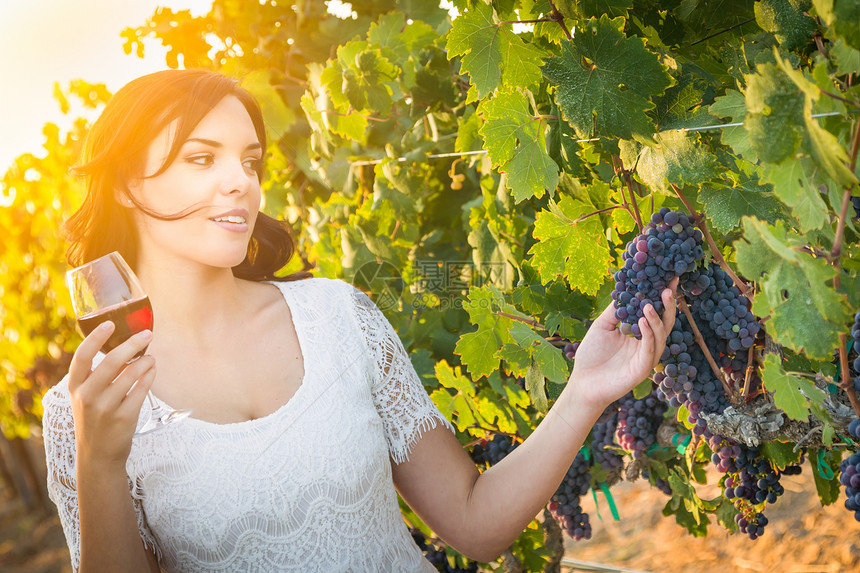 美丽的年轻成女子在葡萄园里散步时喝着一杯葡萄酒图片