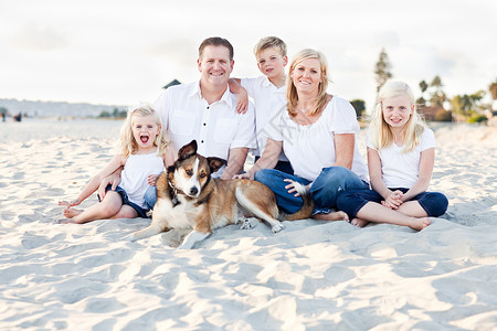 幸福的一家人和狗狗在沙滩上开心的玩耍图片