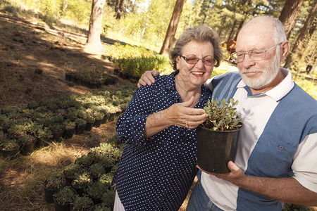 相爱的老年情侣在拿着植物研究图片