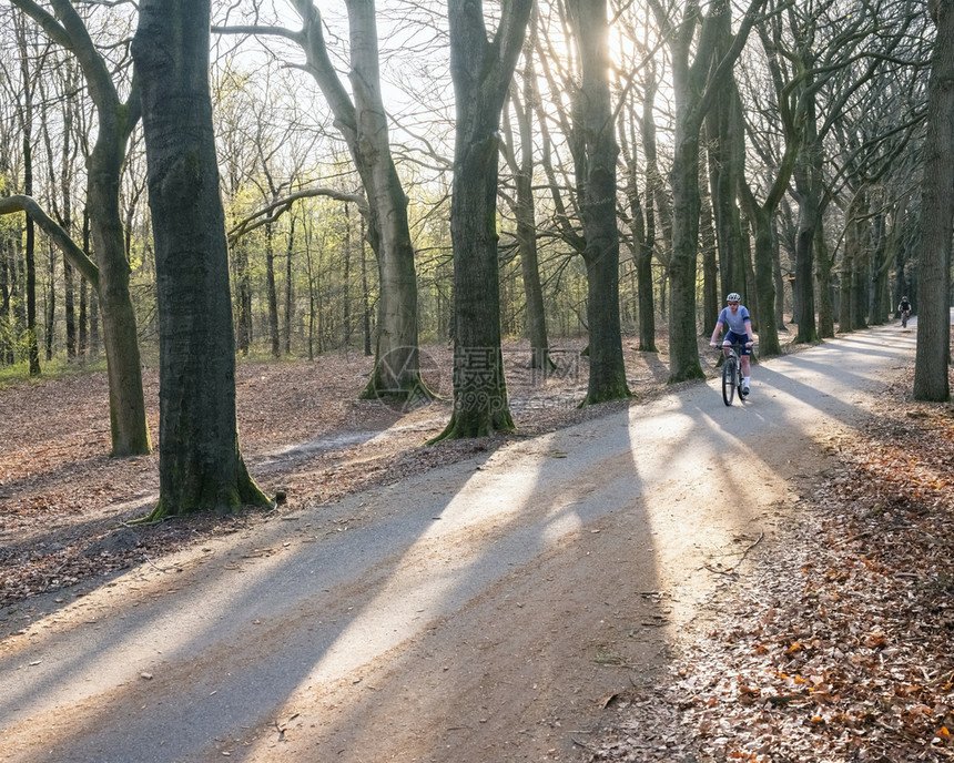 春林中的骑自行车背利特快速向下降早期绿叶在背景中图片