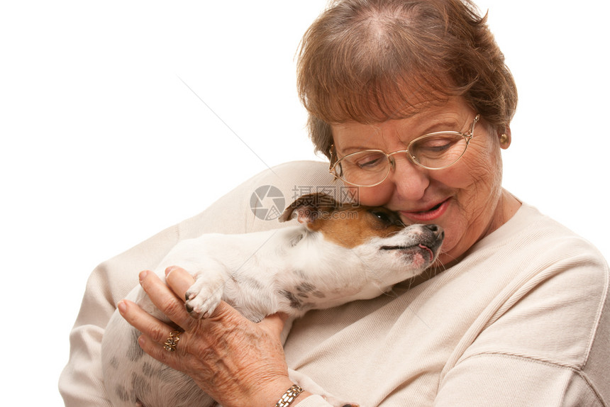 快乐的有吸引力老女人与小狗隔离在白色背景图片