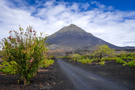 富埃戈火山喷发大西洋成长高清图片