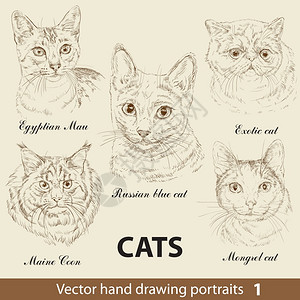 手绘矢量可爱猫图片