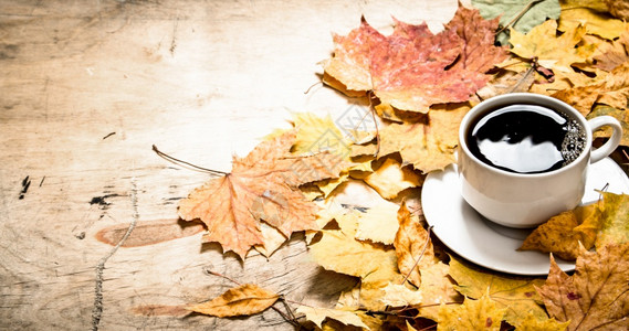 秋天风格一杯热咖啡配有红树叶木本底图片
