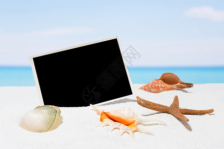 有故事贝壳一张照片在海滩上夏季背景背景