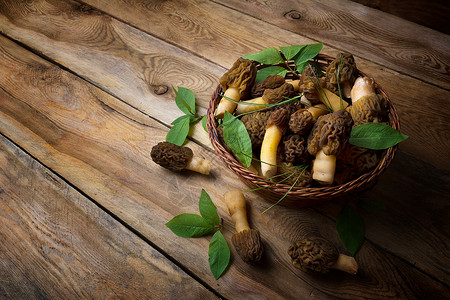 野生森林采摘更多蘑菇和绿叶的螺旋篮子生锈木本底素食健康品概念背景图片