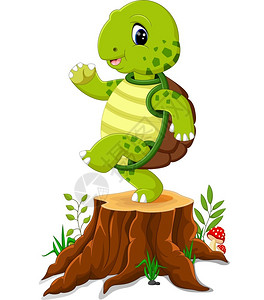 卡通海龟在树桩上 背景图片