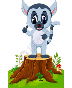 可爱的小狐猴在树桩上高清图片