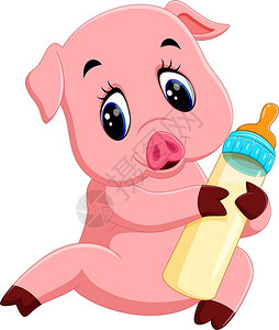 粉红色牛奶可爱的幼猪漫画插图插画