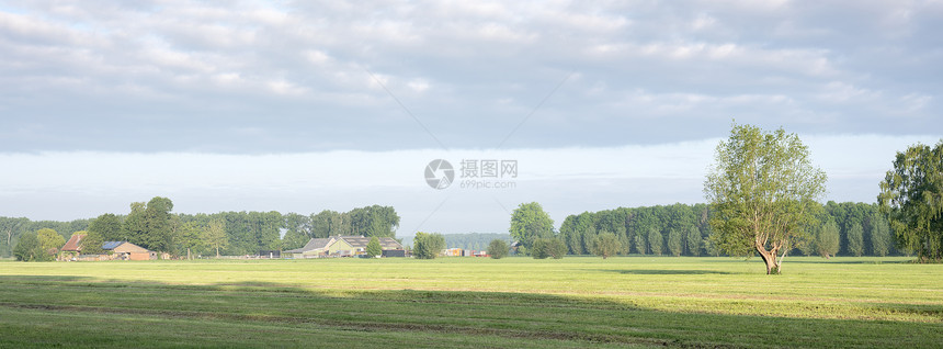 乌特勒支省杜切门边和利伯苏姆附近农场的村地貌图片