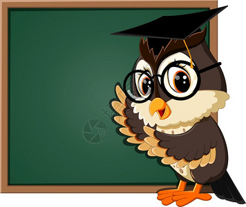 黑板猫头鹰教师插图图片