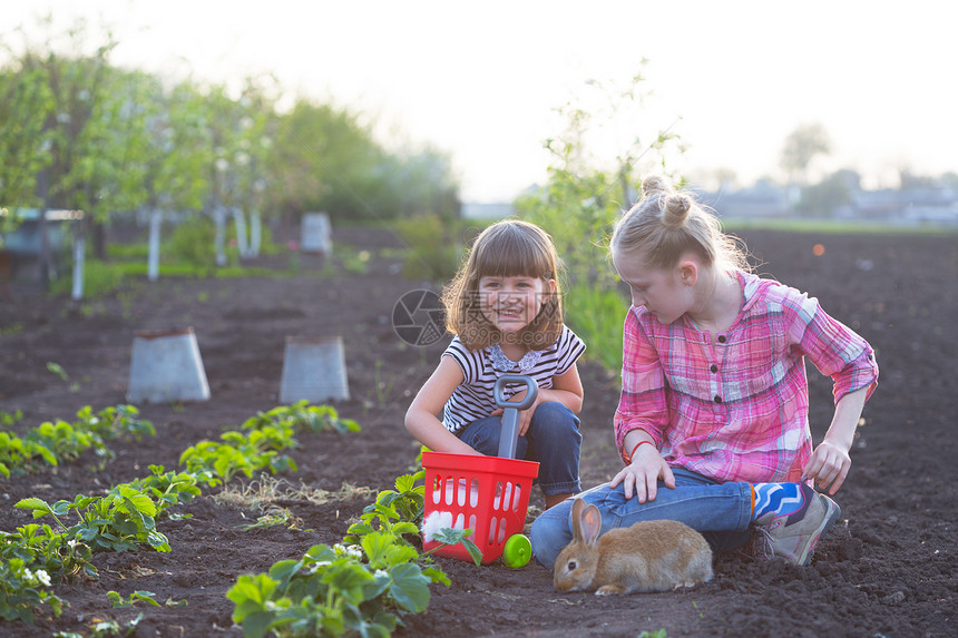 花园里的女孩和兔子村里快乐的童年图片