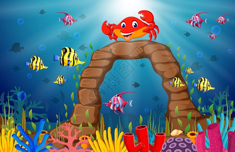 美丽水下世界卡通热带螃蟹图片
